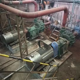 工礦(kuang)業濃漿(jiāng)泵