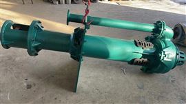 100RV-SP洗沙廠選(xuan)礦廠用液下(xia)渣漿泵